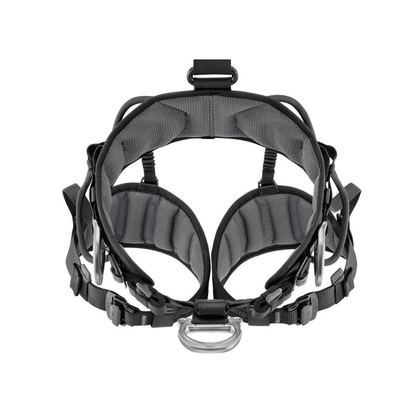 Petzl Avao Fast Harness European version