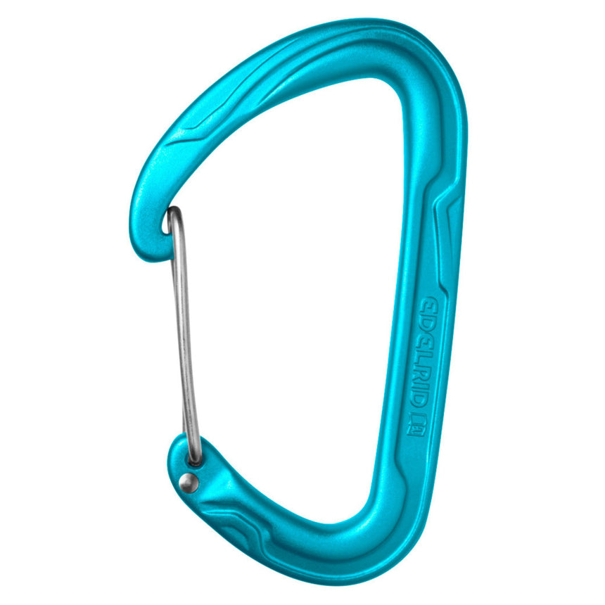 Edelrid Pure Wire Gate Carabiner in Blue Icemint Colourway