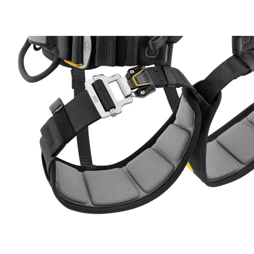 Petzl Falcon Ascent