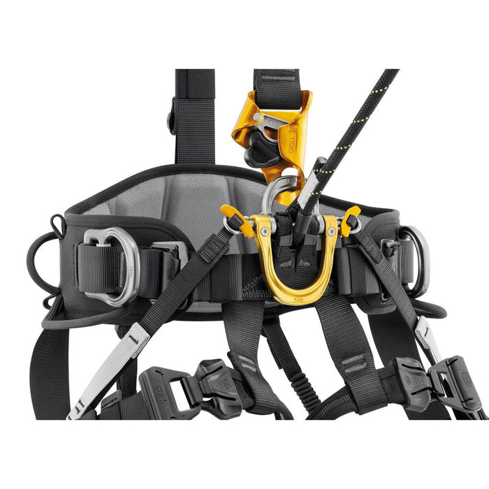 Petzl Astro International Version Focus 1