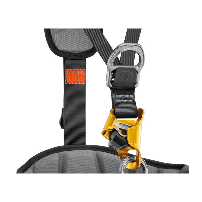 Petzl Astro International Version Focus 3