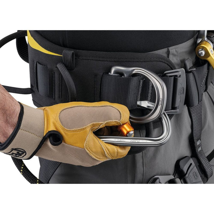 Petzl Astro International Version Focus 4