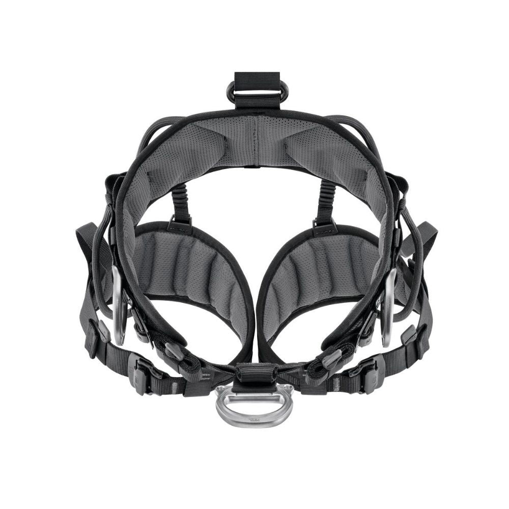 Petzl Avao Fast Harness European version