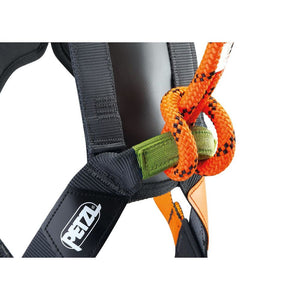 Petzl Simba Park Attachment Point