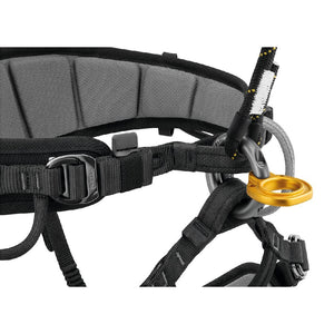 Petzl Ring2Ring on harness