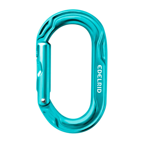 Edelrid Kiwi Carabiner in Blue Icemint colourway
