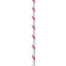 Edelrid Static Low Stretch 10.5mm Rope in Snow colourway snow white and red 
