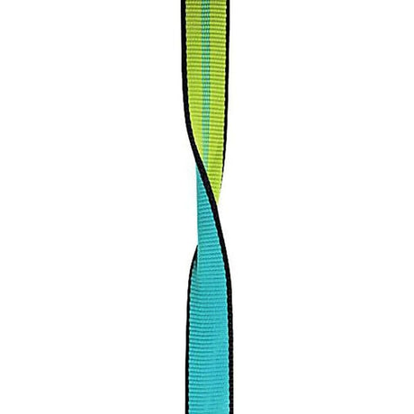 Edelrid X-Tube 25mm Webbing oasis green and Icemint blue colourway 