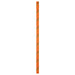 Orange Petzl Parallel 10.5 mm Rope 