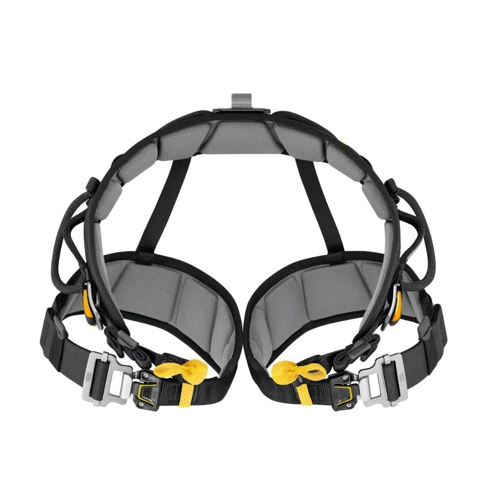 Petzl Falcon Ascent