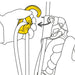 Petzl Roll Clip Z Pulley Carabiner Diagram showing pulley may be used as a directional point on the upper attachment point of the ASCENSION handled rope clamp, for short rope ascents. Gate opening on the non-pulley side facilitates installation on the ASCENSION.
