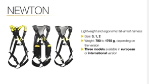 Petzl Newton Fall Arrest Harness - European Version