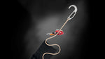 Petzl Exo AP Hook Personal escape system