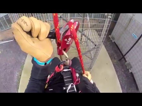 ISC D5 Work/Rescue Descender